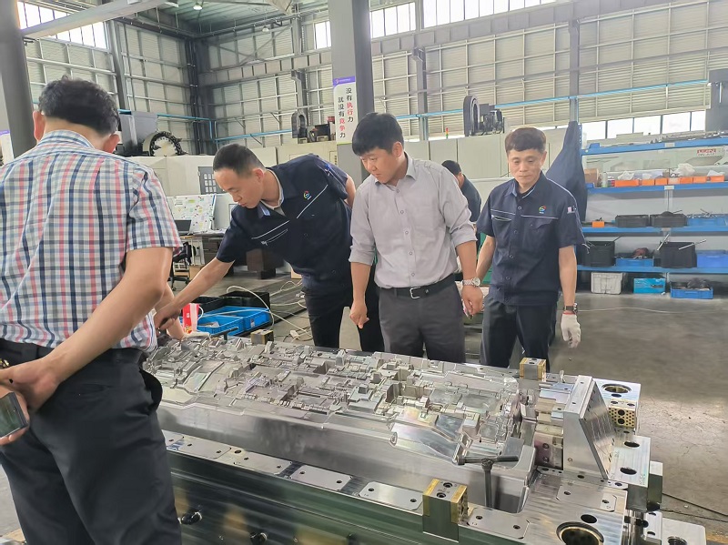 卓越性の追求が賞賛を得る: お客様は IP 金型の受け入れを高く評価